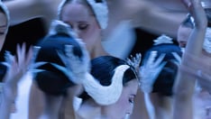 Swan Lake (Ballet)