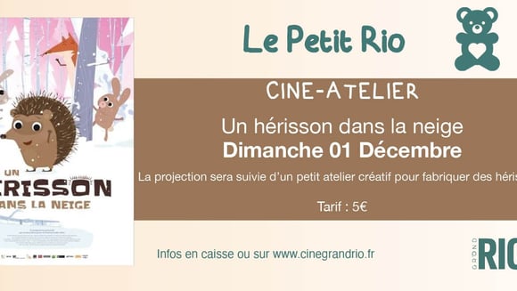 Petit Rio : Un hérisson dans la neige