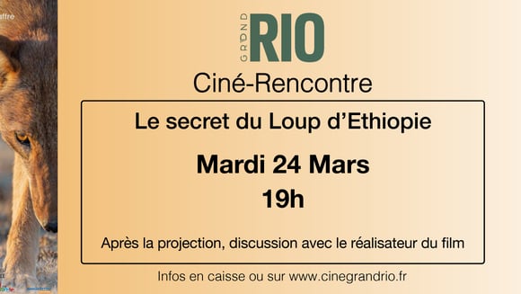 Ciné-Rencontre : Le Secret du Loup d'Ethiopie