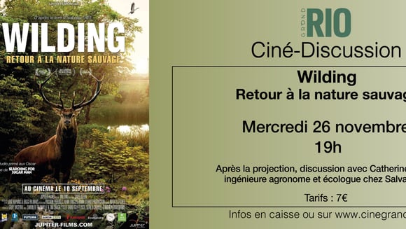 Ciné-Discussion : Wilding - Retour à la nature sauvage