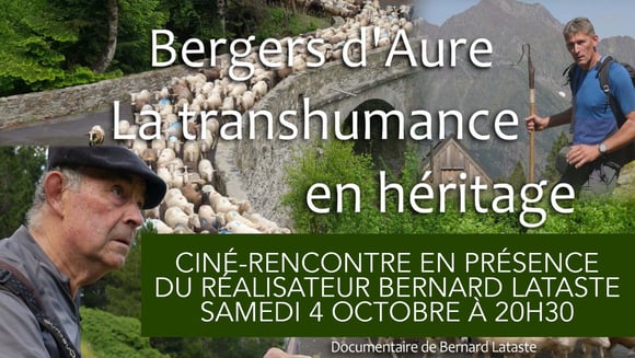 Bergers d'Aure, La transhumance en héritage