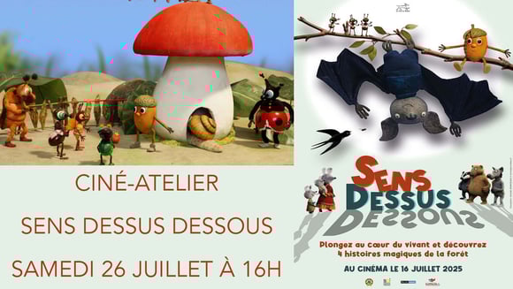 Ciné-atelier : Sens dessus dessous