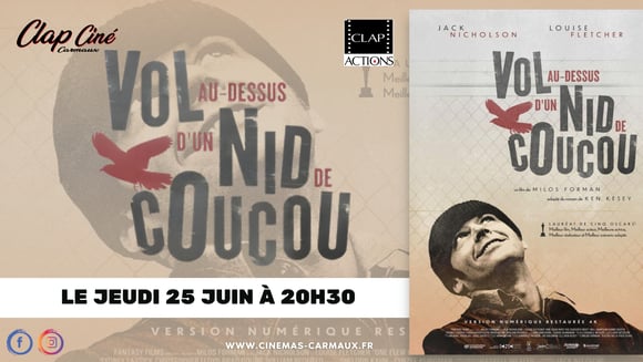 Vol au-dessus d'un nid de coucou