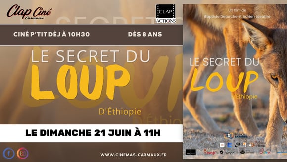 Le secret du loup d'Ethiopie