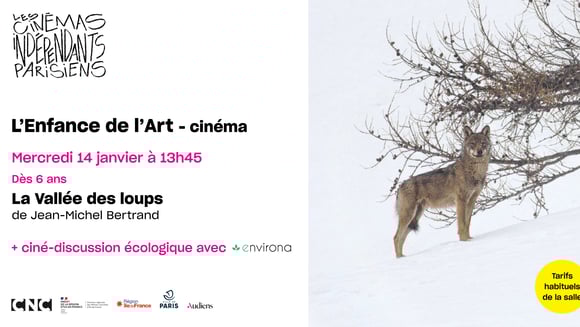 Discussion autour de l'écologie à hauteur d'enfant