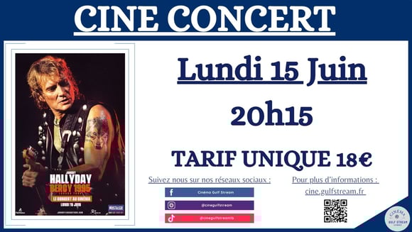 Johnny Hallyday, Lorada Tour - Bercy 1995