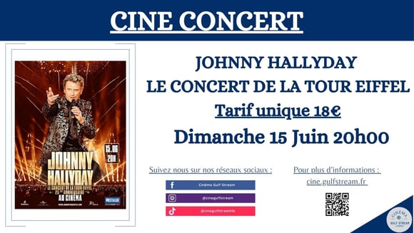 Johnny Hallyday – Le Concert de la Tour Eiffel – 25ème anniversaire