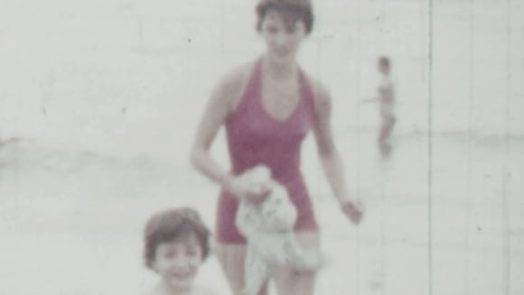 CARRÉ 35 · Les rendez-vous cinéma de La Louve 