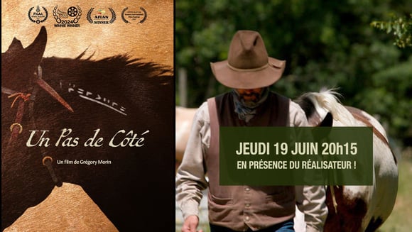 UN PAS DE CÔTÉ 