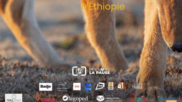 LE SECRET DU LOUP D'ÉTHIOPIE