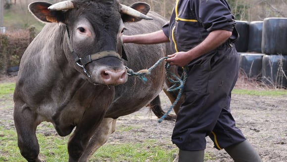 INVISIBLES MAIS INFINIMENT PRÉCIEUX