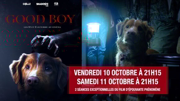 GOOD BOY // LE FILM D'HORREUR PHÉNOMÈNE 
