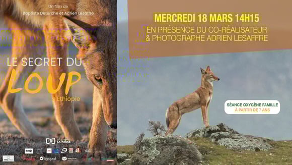 LE SECRET DU LOUP D'ÉTHIOPIE