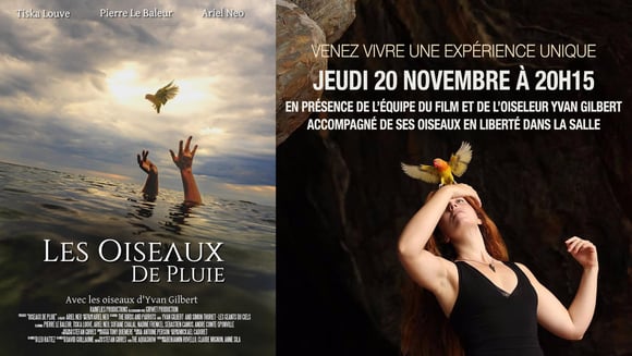 LES OISEAUX DE PLUIE