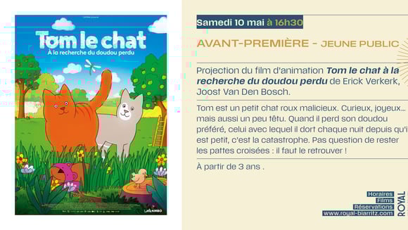 Tom le chat à la recherche du doudou perdu
