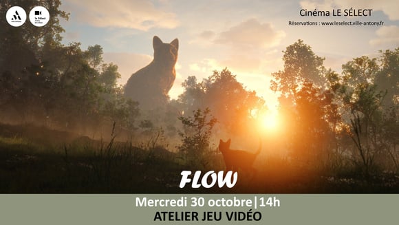 Atelier jeu vidéo FLOW