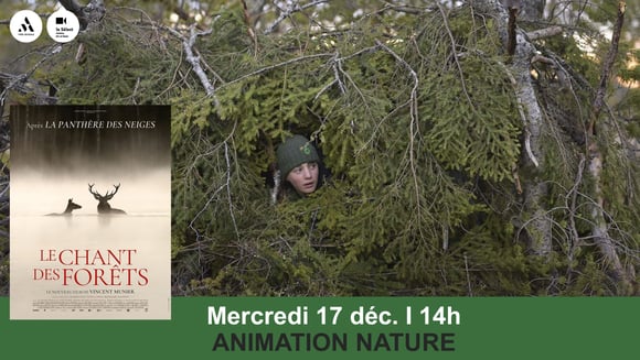 Atelier LE CHANT DES FÔRETS