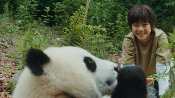 Avant-première | Moon le panda