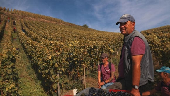 Avant-première en présence du réalisateur - LES CHAILLÉES DE L'ENFER | Vendredi 14 novembre à 18h