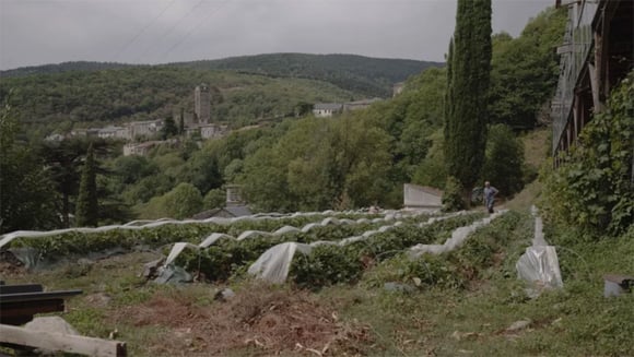 Dimanche du Mermoz | PRESQUE LIBRES