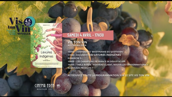 FESTIVAL VIS TON VIN