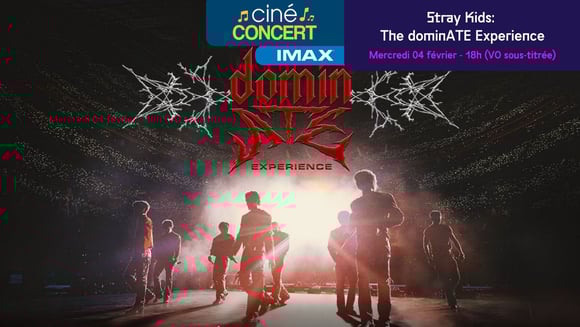 Stray Kids : the dominATE Experience