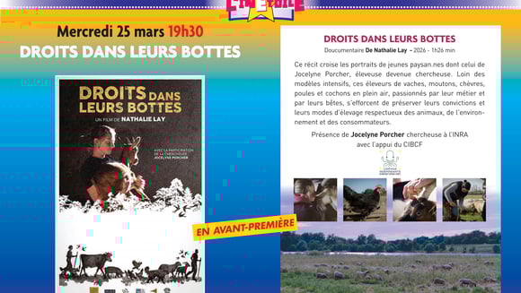 Droits dans leurs bottes