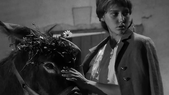 CINÉQUINZE : AU HASARD, BALTHAZAR