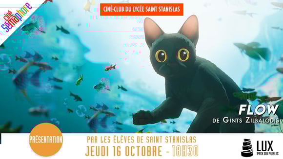 Flow, le chat qui n’avait plus peur de l’eau