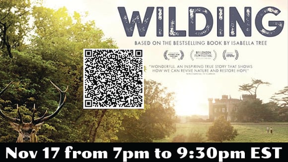 WILDING | Special Screening & Panel Discussion | CAN Monthly Film Festival