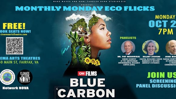 BLUE CARBON | Mon Oct 21