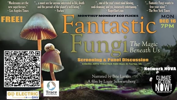 Fantastic Fungi | Mon Dec 16