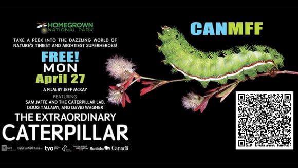 CANMMF: The Extraordinary Caterpillar | FREE