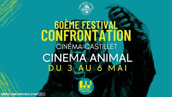 Festival Confrontation