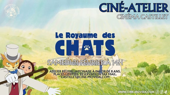 Le royaume des chats