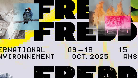 FESTIVAL FREDD