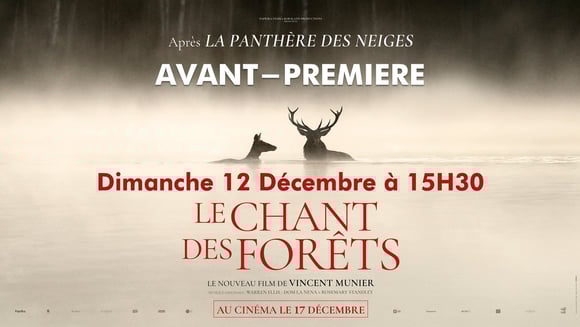 Le chant des forêts
