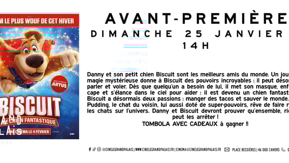 BISCUIT, LE CHIEN FANTASTIQUE