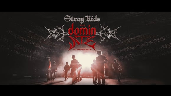 Stray Kids: The dominATE Experience