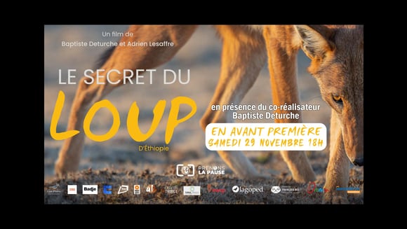 Le Secret du Loup