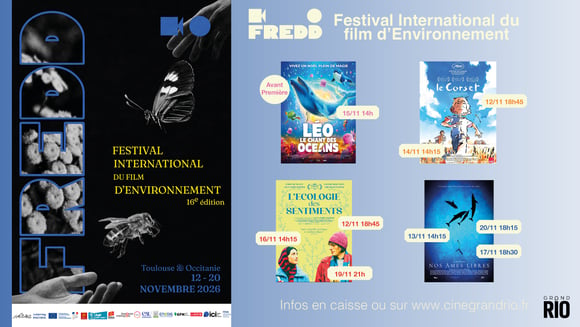FESTIVAL FREDD