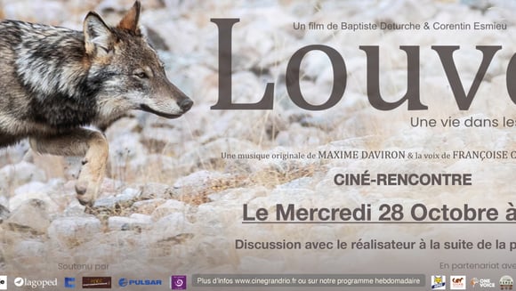 Ciné-Rencontre : Louve, une vie dans les Alpes