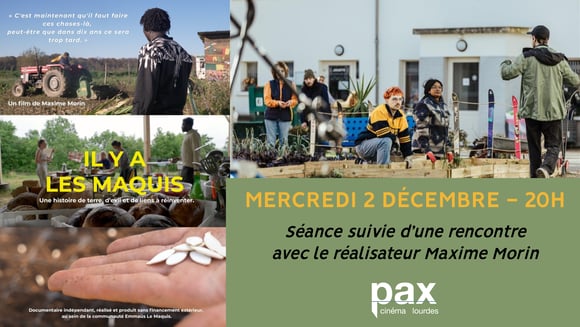 Il y a les maquis