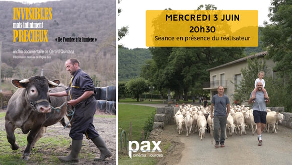 Invisibles mais infiniment précieux