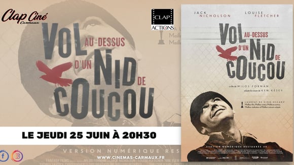Vol au-dessus d'un nid de coucou