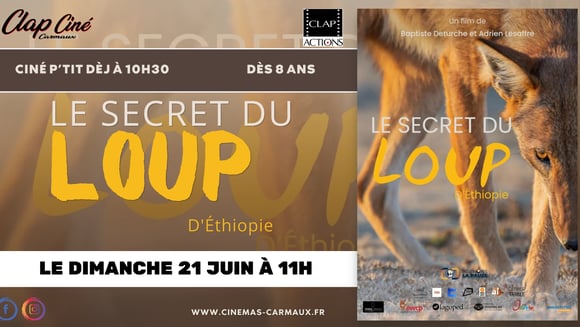 Le secret du loup d'Ethiopie