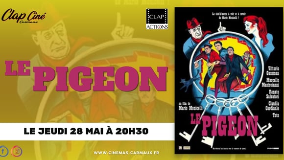 Le pigeon