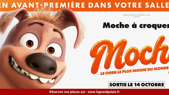 Avant-première - Mochy 🧡