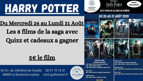 SAGA HARRY POTTER