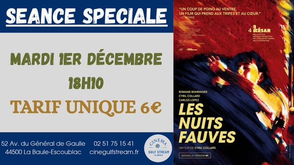 SEANCE SPECIALE : LES NUITS FAUVES